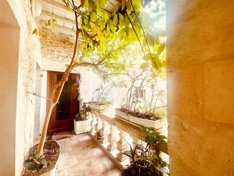 Evasion Urbaine**** Apartment Ним Екстериор снимка